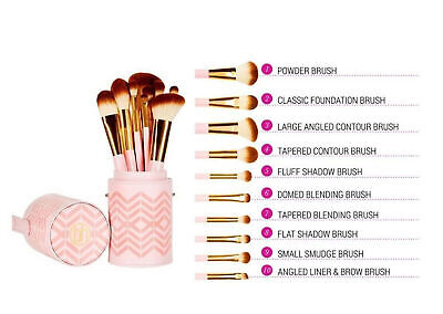 Bh pink perfection brush set